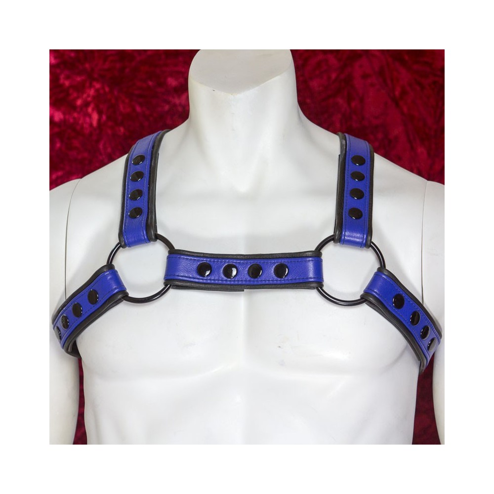 Men's Blue and Black Leather H-Harness with Black Hardware