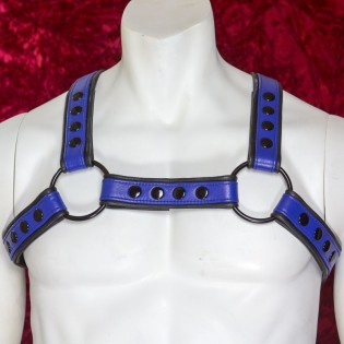 Men's Blue and Black Leather H-Harness with Black Hardware