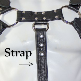 Black Leather Strap