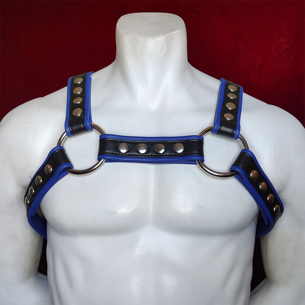 Black Leather with Blue Outline H Harness