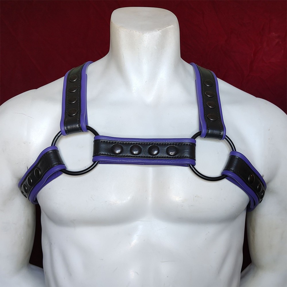 Black Leather with Purple Outline H Harness