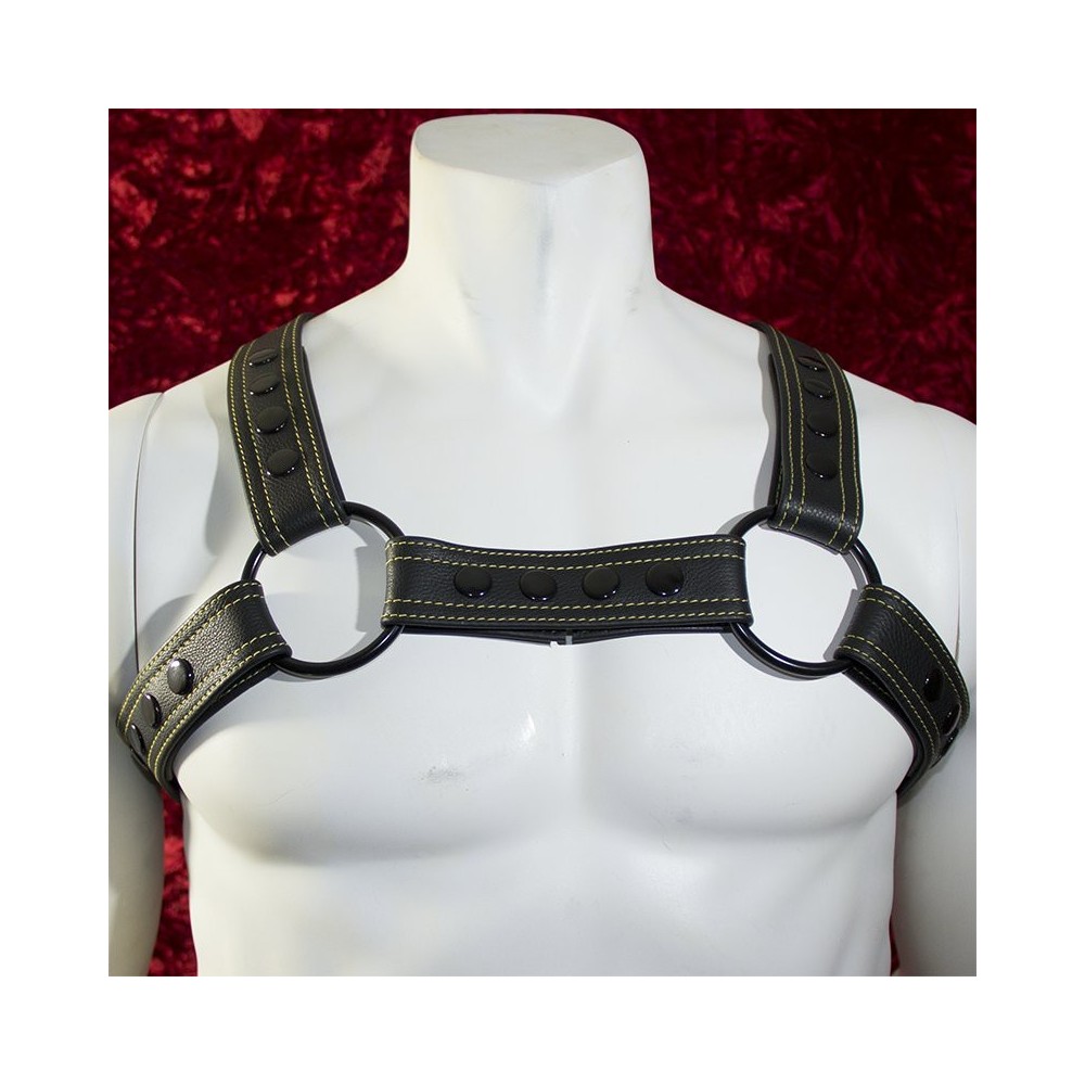 Black Leather Snapped Chest Harness with Black Hardware for Men