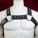 Men's Black Leather Chest Harness with Silver snaps and rings