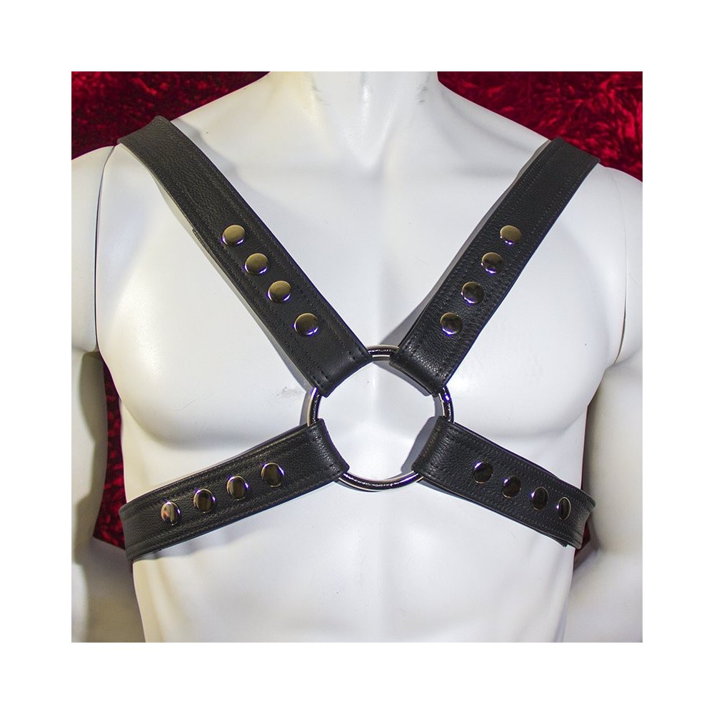 Snapped Men's Black Leather Harness with Silver Hardware
