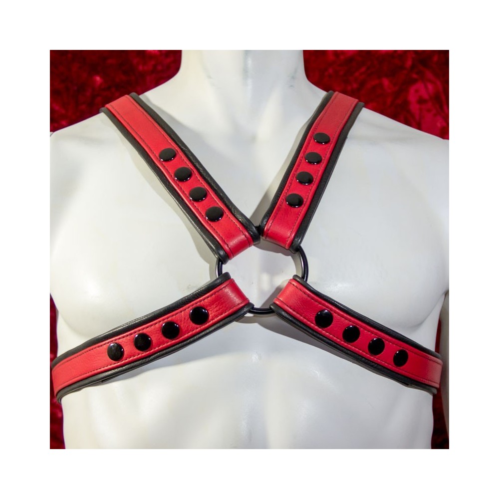 The Turbo - Leather Red-Striped Harness