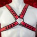 The Turbo - Leather Red-Striped Harness