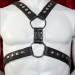 Double Ring Snapped Men's Black Leather Harness with Silver Hardwar