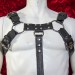 Aussie Bulldog Men's Black Leather Harness with Silver Hardware
